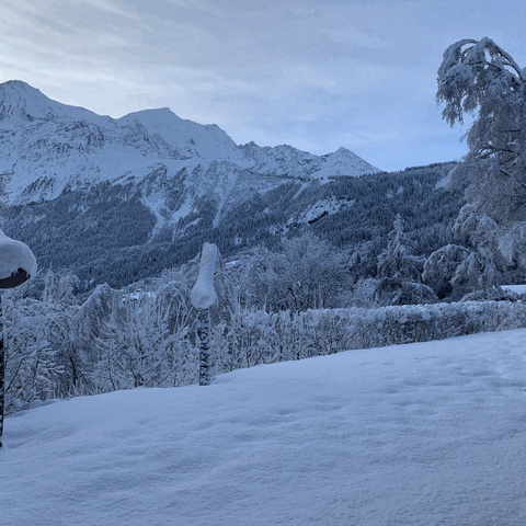 view-from-the-school