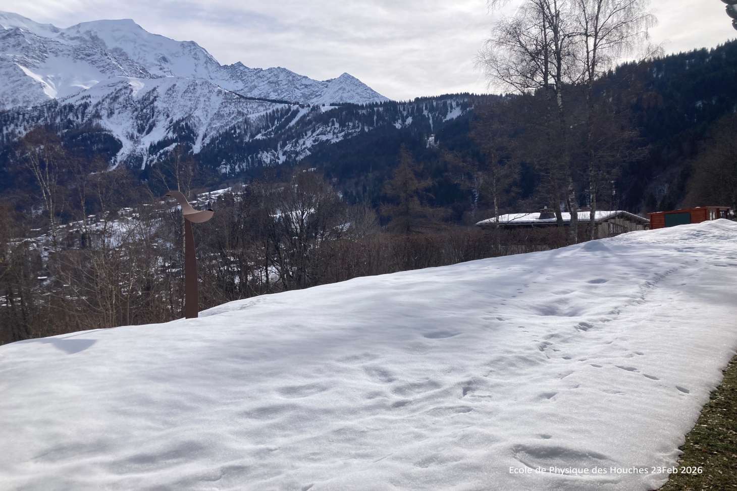 view-from-the-school